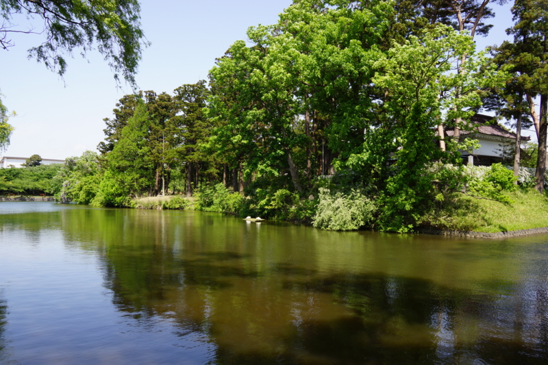 f:id:GSX-R1000:20130524193059j:image:w640