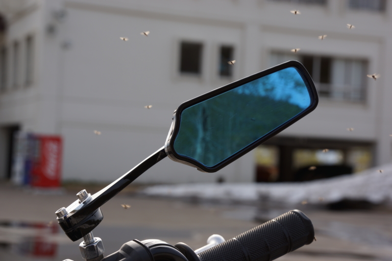 f:id:GSX-R1000:20130526193554j:image:w640