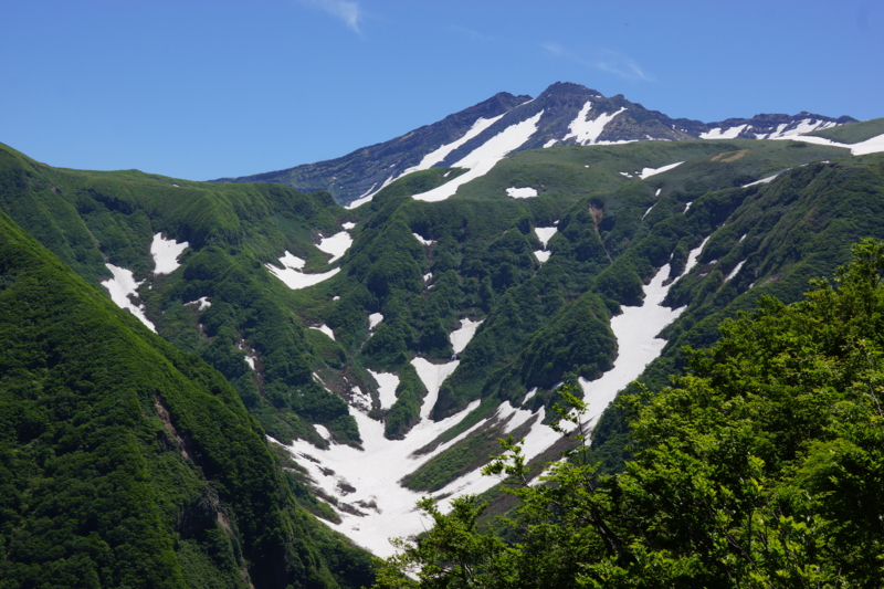 f:id:GSX-R1000:20130613211247j:image:w640