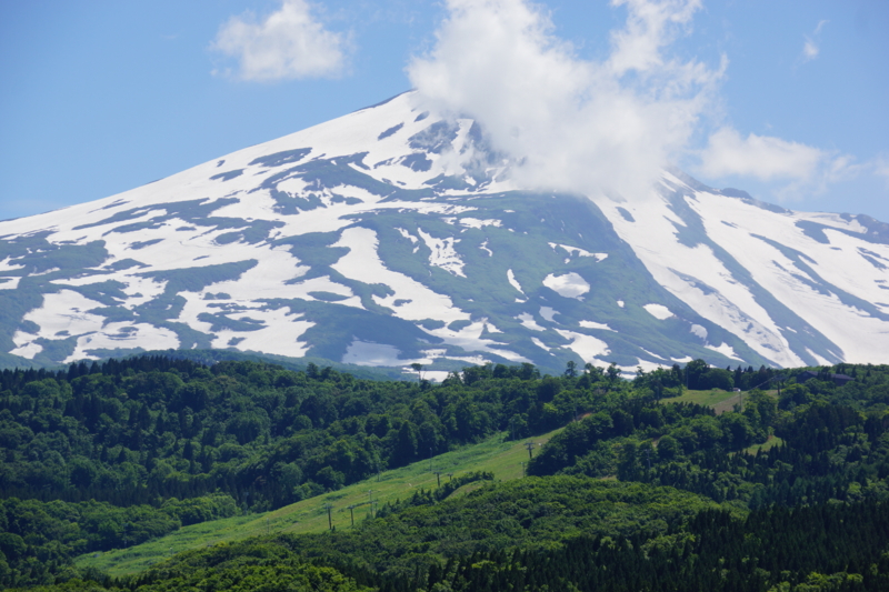 f:id:GSX-R1000:20130613212354j:image:w640