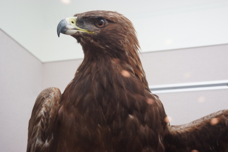 f:id:GSX-R1000:20130614211544j:image:w640 f:id:GSX-R1000:20130614211544j:image:w640