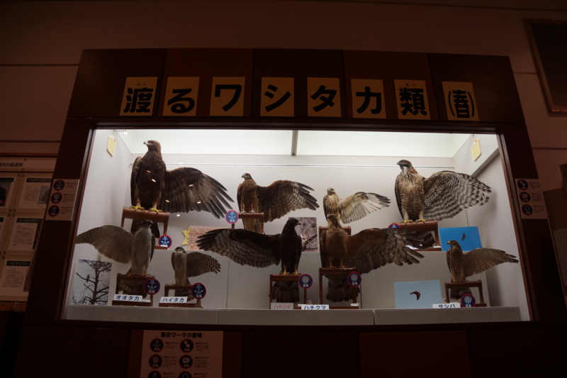 f:id:GSX-R1000:20130614211739j:image:w640 f:id:GSX-R1000:20130614211739j:image:w640