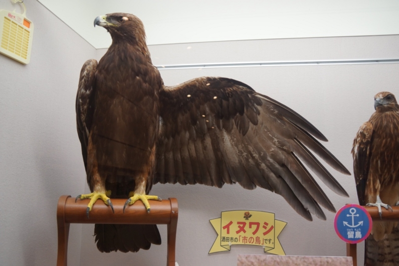 f:id:GSX-R1000:20130614211808j:image:w640 f:id:GSX-R1000:20130614211808j:image:w640