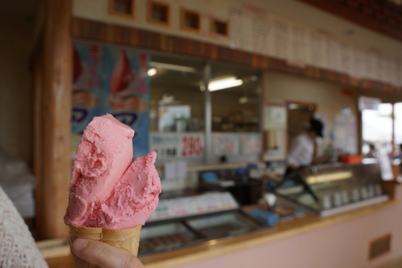 f:id:GSX-R1000:20130615201415j:image:w260