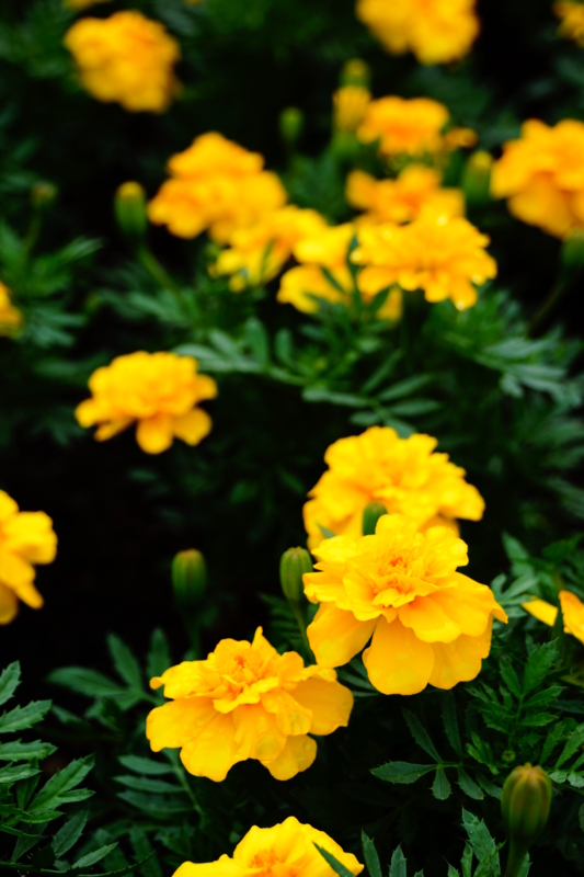 f:id:GSX-R1000:20130615223804j:image:w640