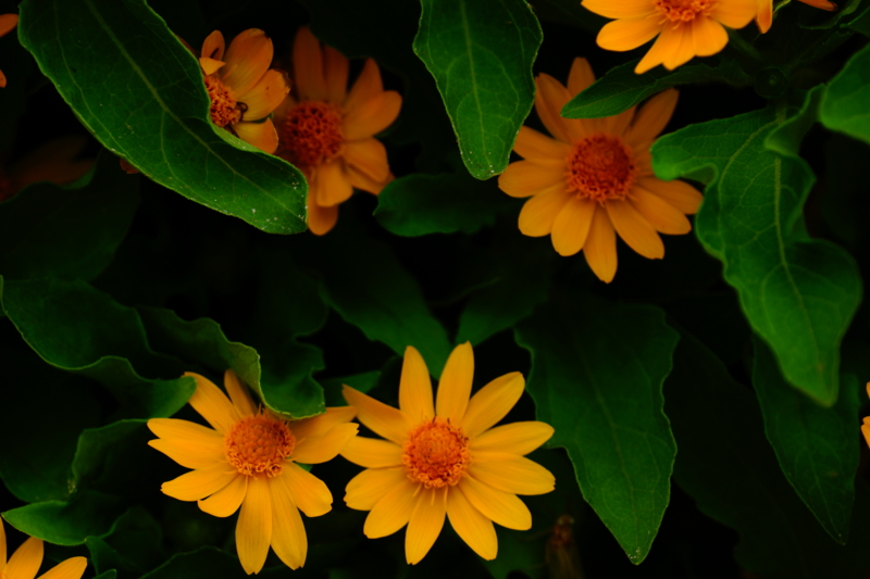 f:id:GSX-R1000:20130615223841j:image:w640