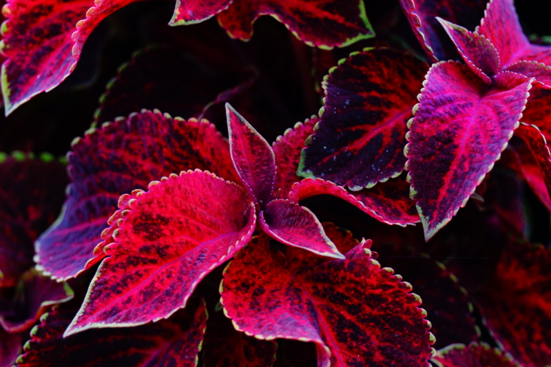 f:id:GSX-R1000:20130615223914j:image:w640