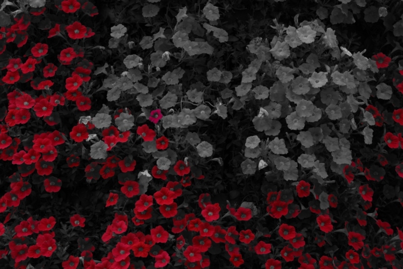 f:id:GSX-R1000:20130616211525j:image:w640