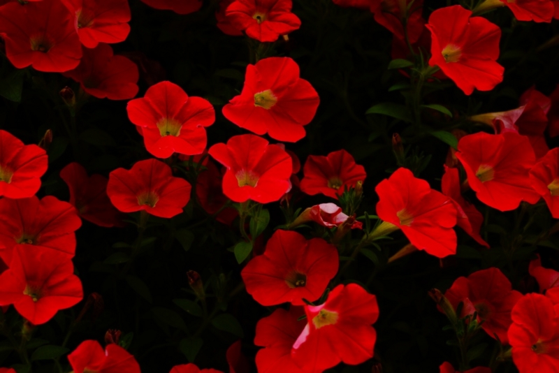 f:id:GSX-R1000:20130616211527j:image:w640