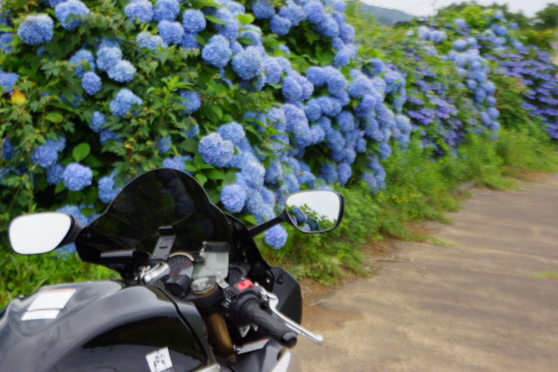 f:id:GSX-R1000:20130726073649j:image:w640
