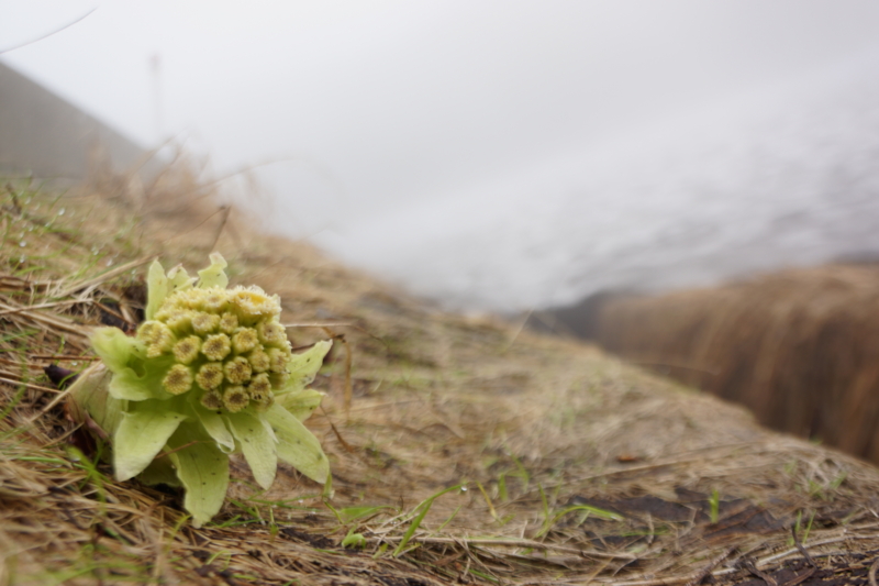 f:id:GSX-R1000:20130726200925j:image:w640