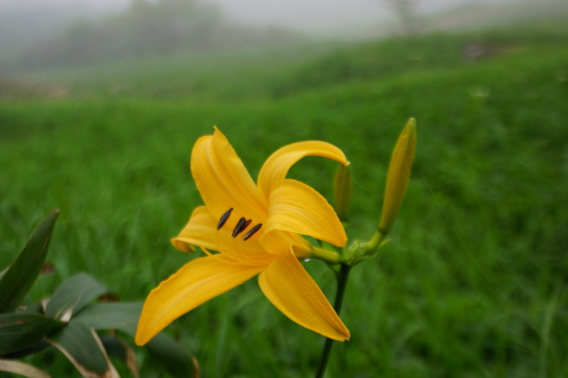 f:id:GSX-R1000:20130726200927j:image:w640