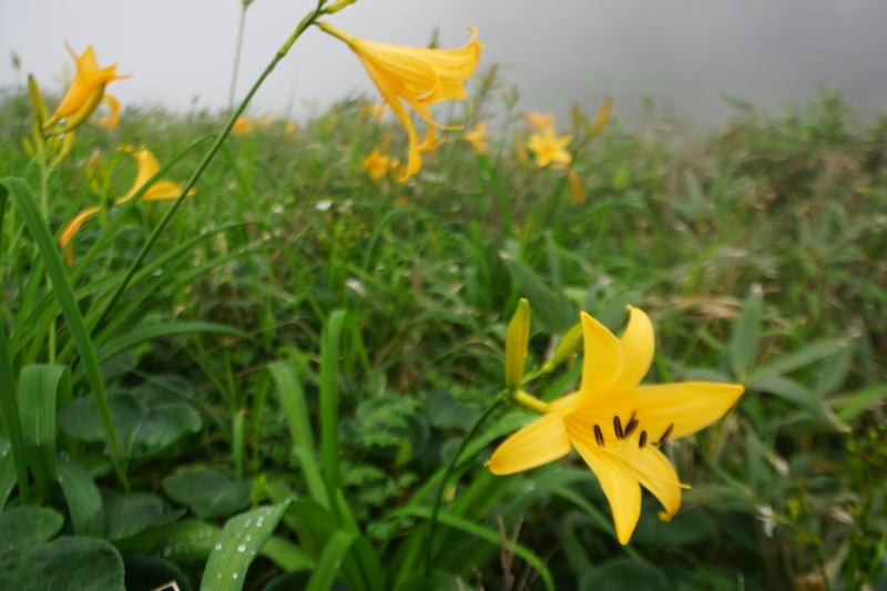 f:id:GSX-R1000:20130726200928j:image:w640