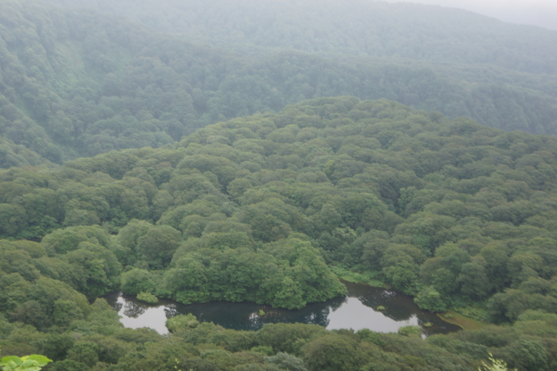 f:id:GSX-R1000:20130726200938j:image:w640