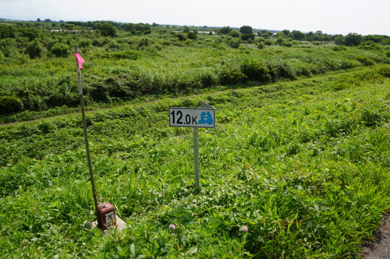 f:id:GSX-R1000:20130726204904j:image:w250