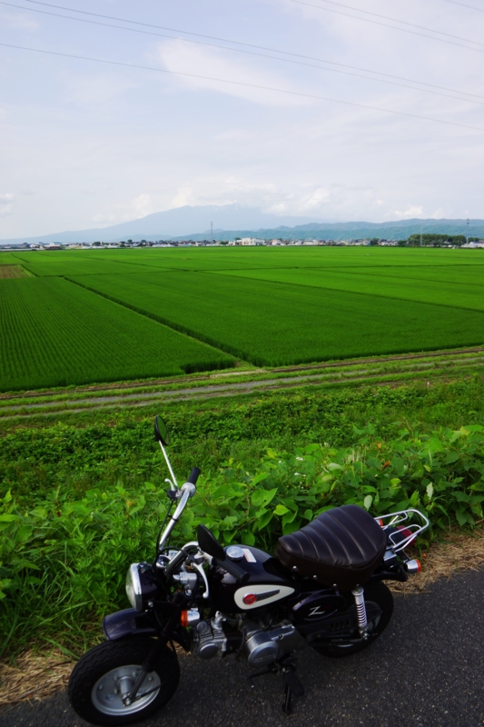 f:id:GSX-R1000:20130726204914j:image:w640