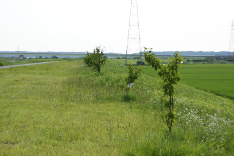 f:id:GSX-R1000:20130726204921j:image:w640