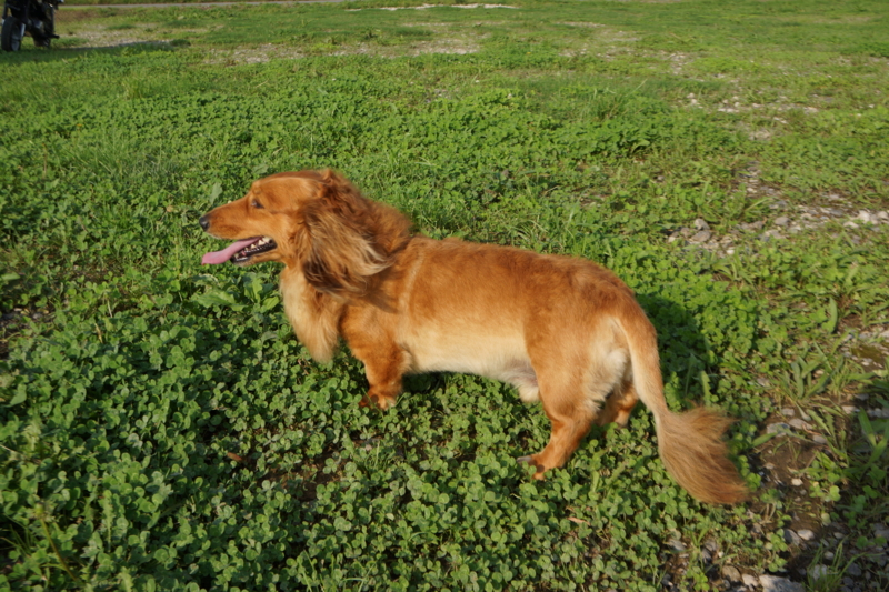 f:id:GSX-R1000:20130726204947j:image:w640