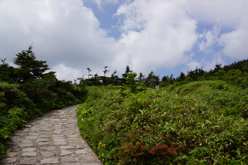 f:id:GSX-R1000:20130818084005j:image:w640