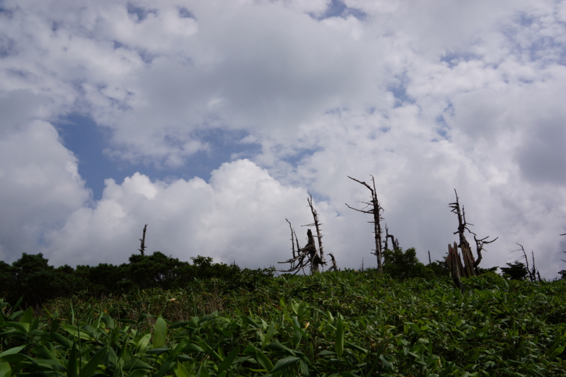 f:id:GSX-R1000:20130818084613j:image:w640