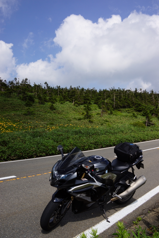 f:id:GSX-R1000:20130818084907j:image:w640