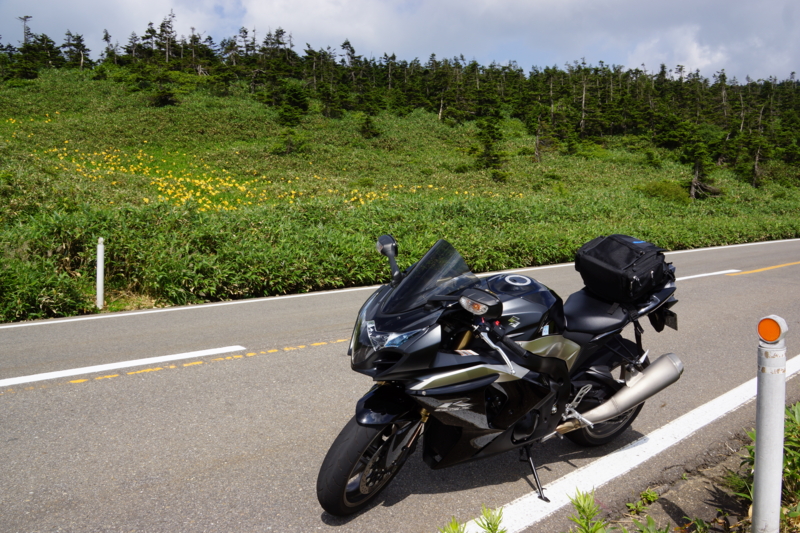 f:id:GSX-R1000:20130818084954j:image:w640
