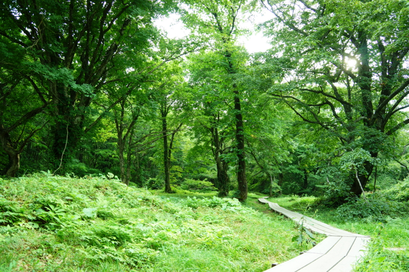 f:id:GSX-R1000:20130820204317j:image