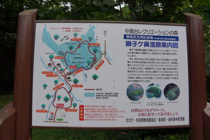 f:id:GSX-R1000:20130820204445j:image:w640