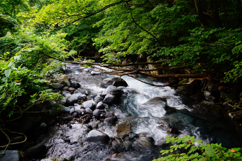 f:id:GSX-R1000:20130820205220j:image:w250