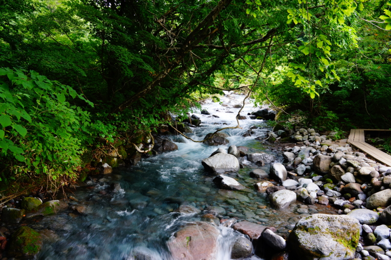 f:id:GSX-R1000:20130820205254j:image:w250
