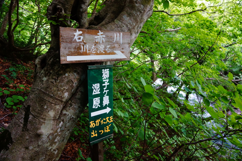f:id:GSX-R1000:20130820205404j:image:w250