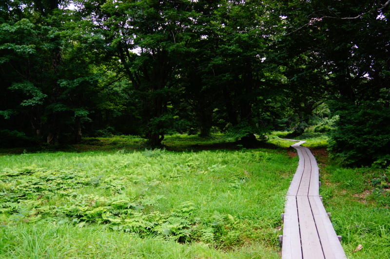 f:id:GSX-R1000:20130820205606j:image:w250