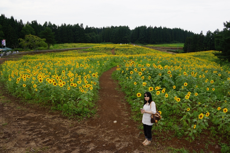 f:id:GSX-R1000:20130820211748j:image:w640