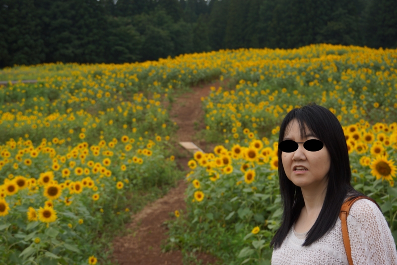 f:id:GSX-R1000:20130820212108j:image:w640