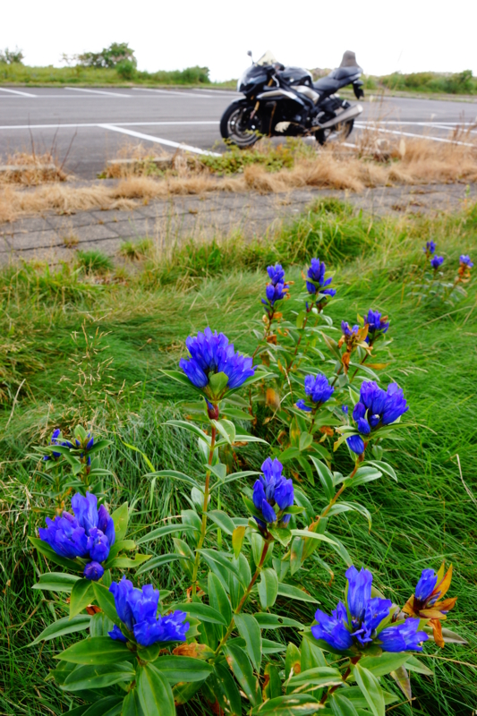 f:id:GSX-R1000:20130914194559j:image:w640
