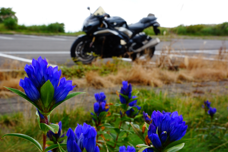 f:id:GSX-R1000:20130914194600j:image:w640