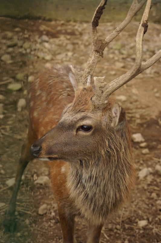 f:id:GSX-R1000:20130914194603j:image:w640