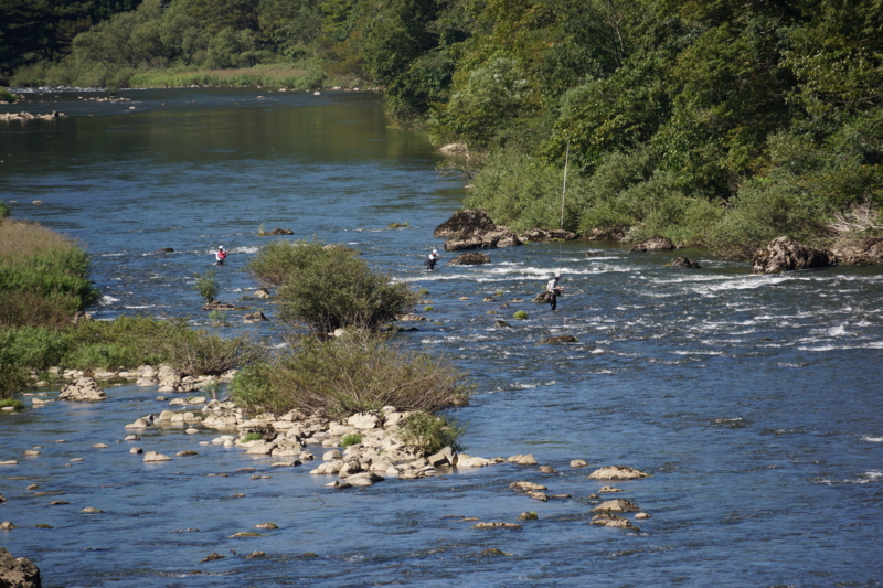 f:id:GSX-R1000:20130929202529j:image:w640
