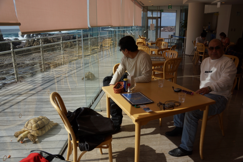 f:id:GSX-R1000:20131003190719j:image:w640