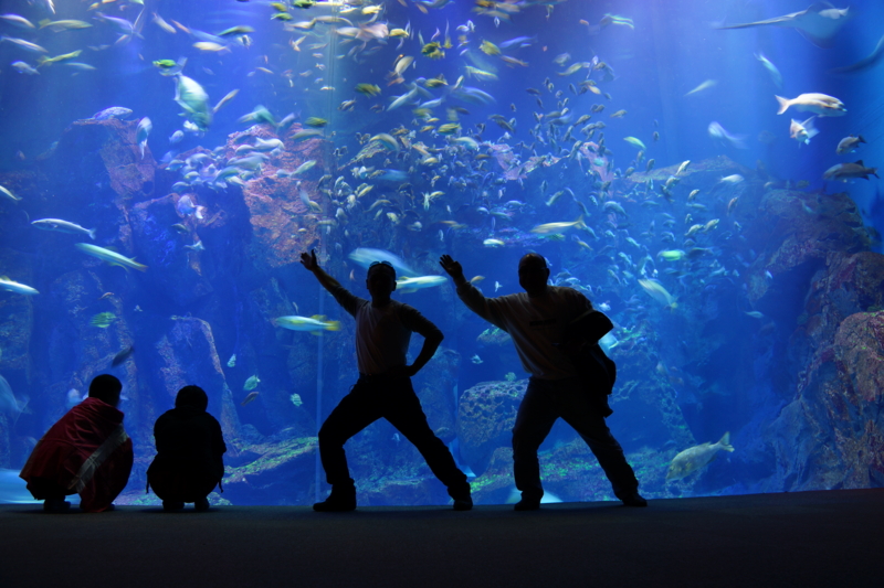 f:id:GSX-R1000:20131003190722j:image:w640