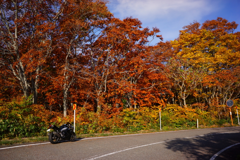 f:id:GSX-R1000:20131030134115j:image:w640