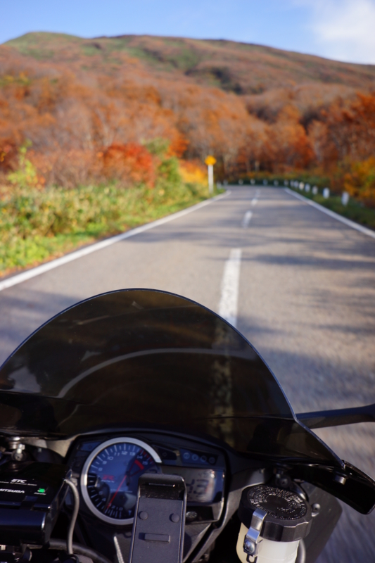 f:id:GSX-R1000:20131030134544j:image:w640