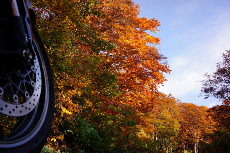 f:id:GSX-R1000:20131030134649j:image:w640