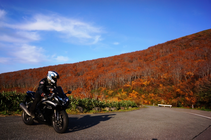 f:id:GSX-R1000:20131030135103j:image:w640