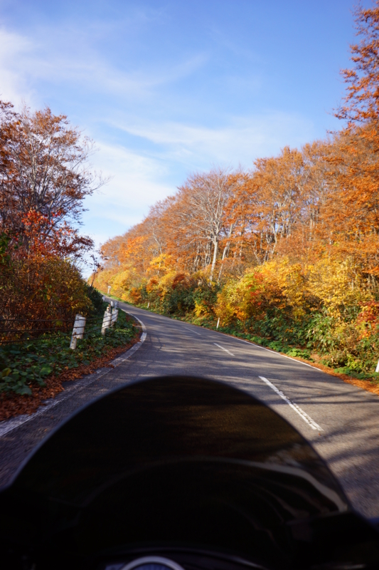f:id:GSX-R1000:20131030135227j:image:w640