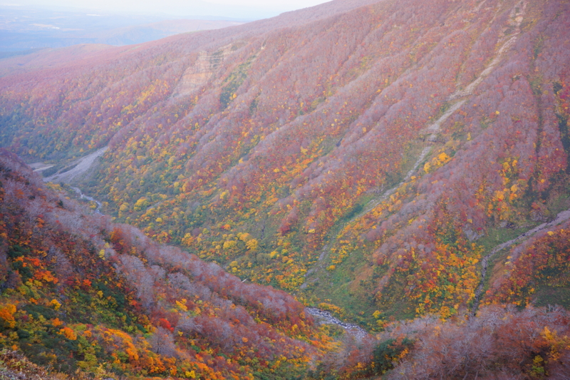 f:id:GSX-R1000:20131030135523j:image:w640