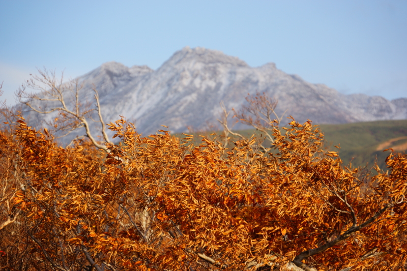 f:id:GSX-R1000:20131030140452j:image:w640