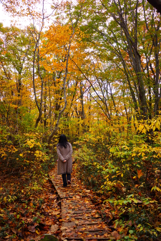 f:id:GSX-R1000:20131101213549j:image:w240