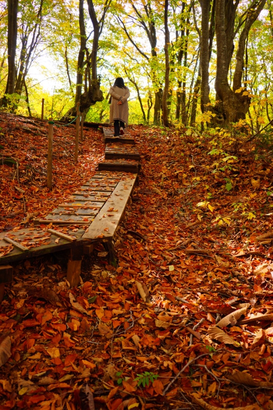 f:id:GSX-R1000:20131101213625j:image:w240