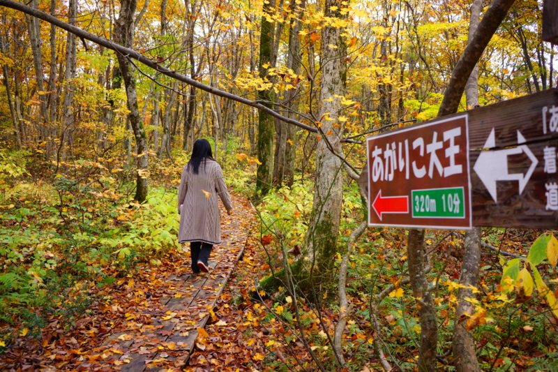 f:id:GSX-R1000:20131101213931j:image:w240